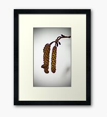 m7 Framed Print