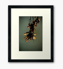 m31 Framed Print