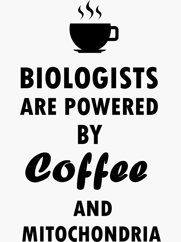 2 Stück Zeigestab Teleskop - Perfekt Für Lehrer & Präsentationen