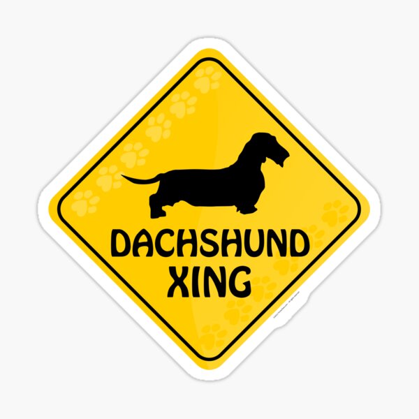 Dachshund (Wire Haired) Xing Sticker