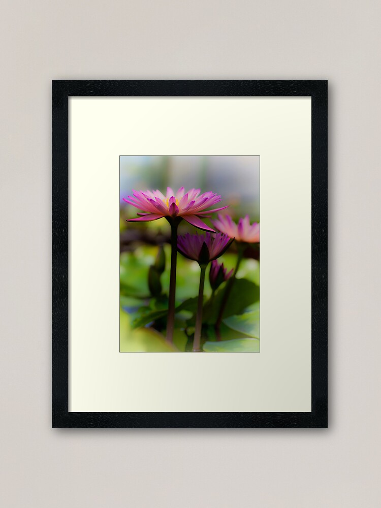 Alternate view of Pink Lotus 2 Framed Art Print
