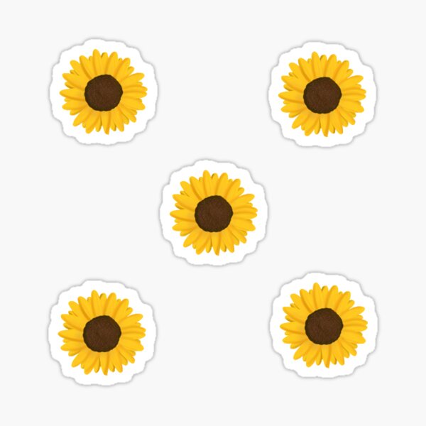 Sunflower onlyfans sassy 