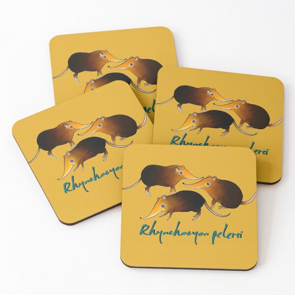 Item preview, B&R Elephant Shrews Rhynchocyon petersi  designed and sold by Dirkrol.