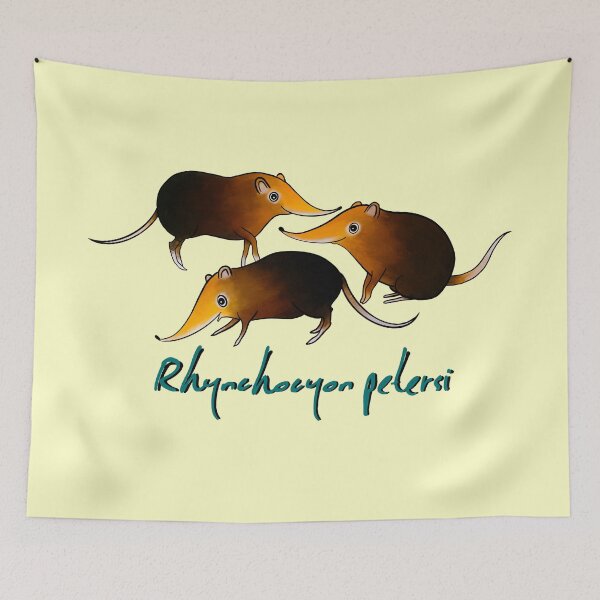 Item preview, B&R Elephant Shrews Rhynchocyon petersi  designed and sold by Dirkrol.