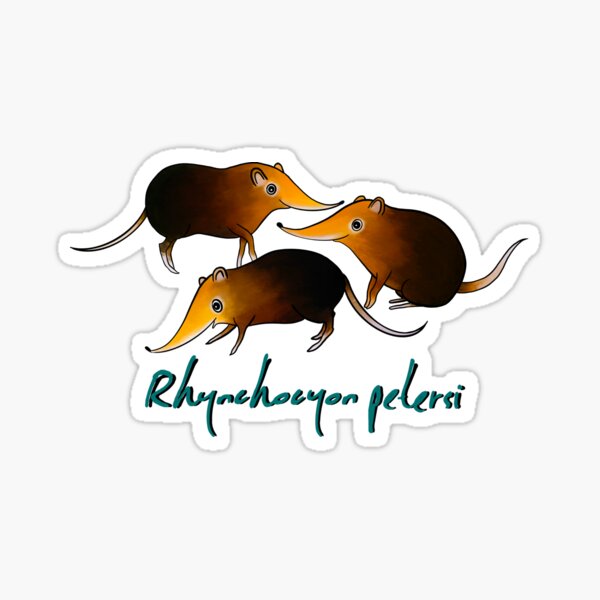 Item preview, B&R Elephant Shrews Rhynchocyon petersi  designed and sold by Dirkrol.