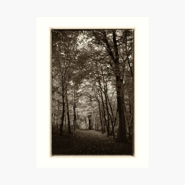 Rolduc Abbey Park, Kerkrade, Netherlands Art Print