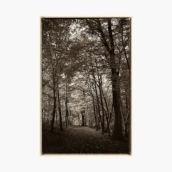 Rolduc Abbey Park, Kerkrade, Netherlands Photographic Print