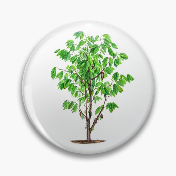 Item preview, Cacao Tree (Theobroma cacao) designed and sold by Tamara Clark.