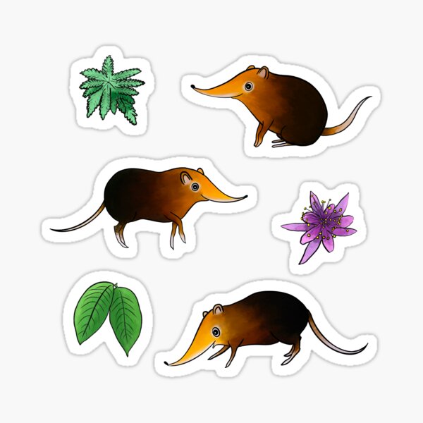 Item preview, B&R Elephant Shrews | Sticker designed and sold by Dirkrol.