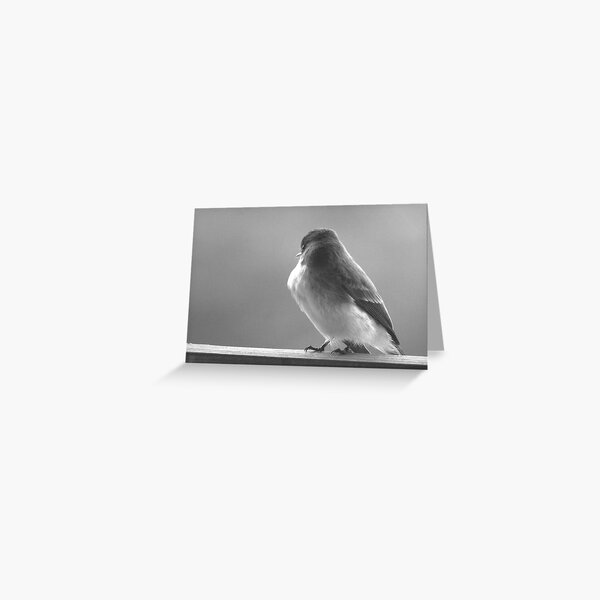 Little Bird Greeting Card