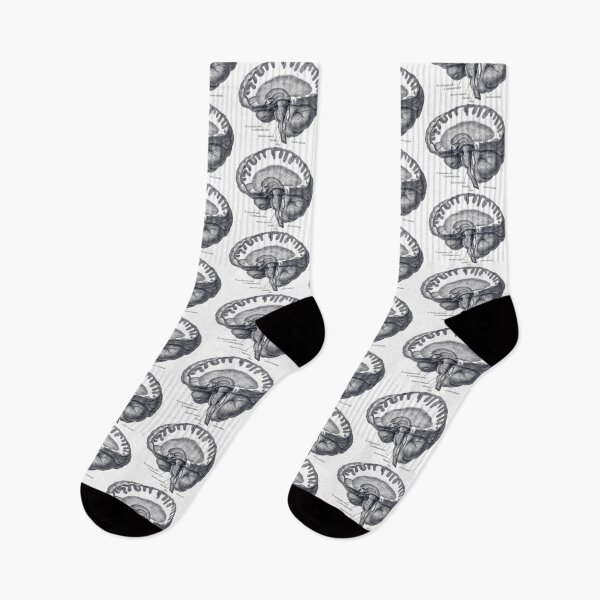 Item preview, Brain Anatomy designed and sold by BlueSpecsStudio.