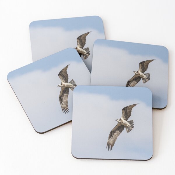 Item preview, Osprey 2020-2 designed and sold by Thomasyoung.