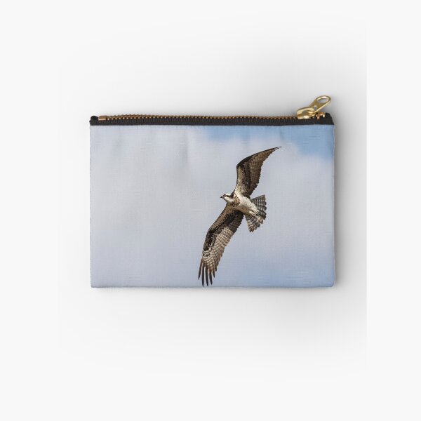 Item preview, Osprey 2020-2 designed and sold by Thomasyoung.