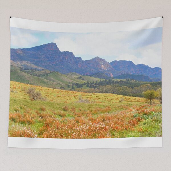 Item preview, Flinders Ranges spring time, Outback, Australia designed and sold by FranWest.