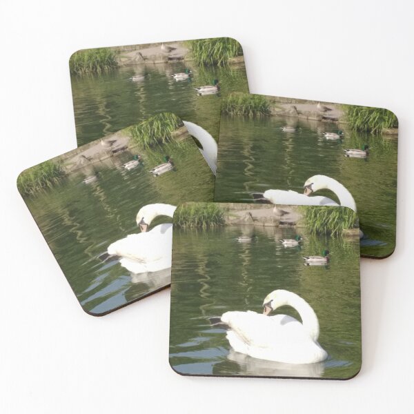 Item preview, #65 |☼| Swan - Shot 23 (Pearson Park) designed and sold by Naean H.F. (Nez Man).