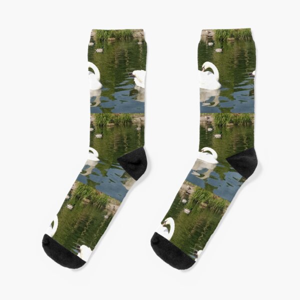 Merch #65 -- Swan - Shot 23 (Pearson Park) Socks