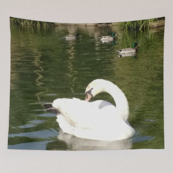 Item preview, #65 |☼| Swan - Shot 23 (Pearson Park) designed and sold by Naean H.F. (Nez Man).
