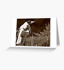 we belong Greeting Card