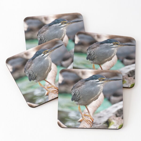 Item preview, Striated Heron designed and sold by troianifabrizio.