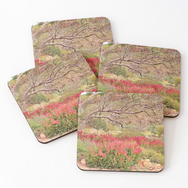 Item preview, Flinders Ranges wildflowers, Outback, Australia designed and sold by FranWest.