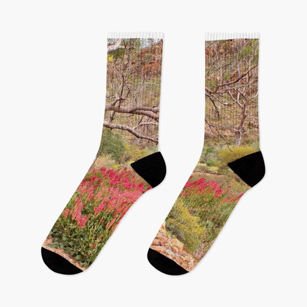 Item preview, Flinders Ranges wildflowers, Outback, Australia designed and sold by FranWest.