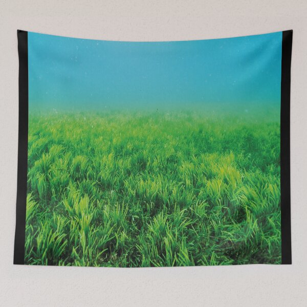 Item preview, Underwater seaweed algae designed and sold by PandaPope.