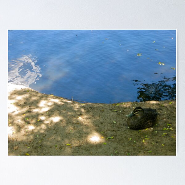 Item preview, 21/2 "Are you sleeping?" the cloud asked the duck as she drifted by. designed and sold by Evelyn Bach.