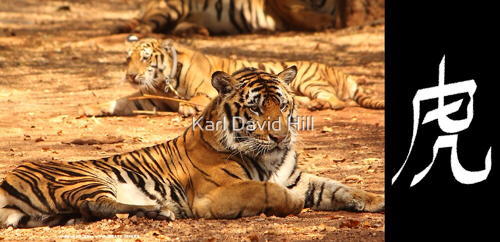 tiger-symbol-chinese-word-for-tiger-005-by-karl-david-hill-redbubble