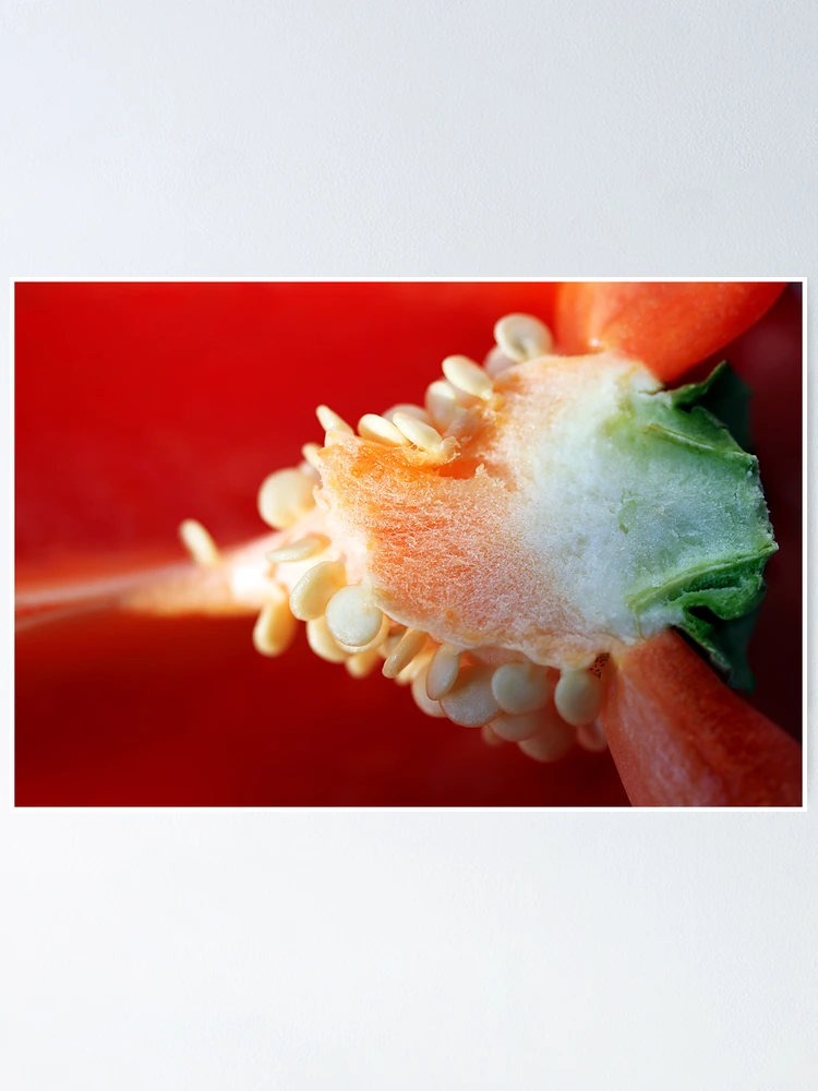 Thumbnail 1 of 3, Poster, Pepper designed and sold by RaphArt.