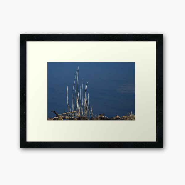 By the River Framed Art Print