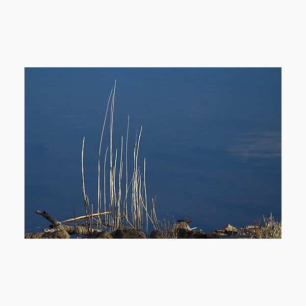 By the River Photographic Print