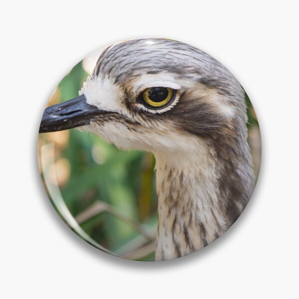 Item preview, Close up of bush stone curlew bird. designed and sold by Anne Scantlebury.