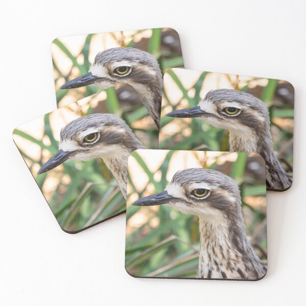 Item preview, Close up of bush stone curlew bird. designed and sold by Anne Scantlebury.