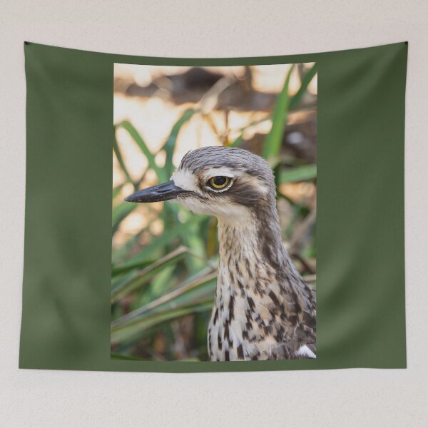 Item preview, Close up of bush stone curlew bird. designed and sold by Anne Scantlebury.
