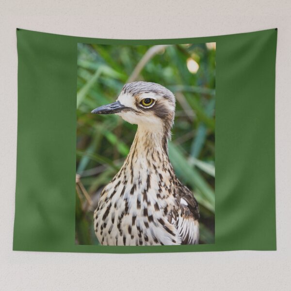 Item preview, Bush stone curlew bird. designed and sold by Anne Scantlebury.