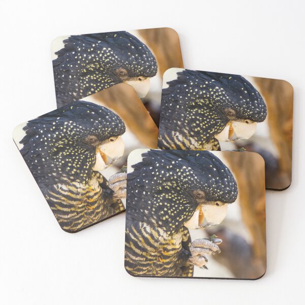 Item preview, Red tailed black cockatoo. designed and sold by Anne Scantlebury.