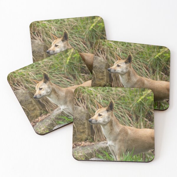 Item preview, Dingo. designed and sold by Anne Scantlebury.