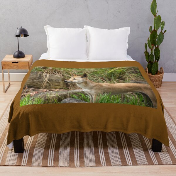 Item preview, Dingo. designed and sold by Anne Scantlebury.