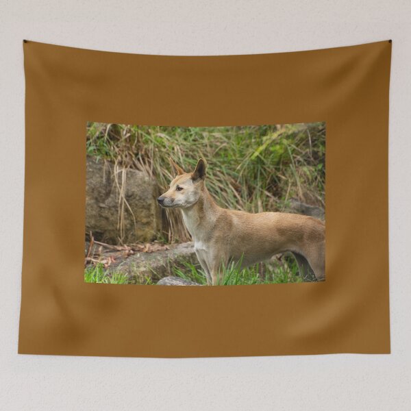 Item preview, Dingo. designed and sold by Anne Scantlebury.
