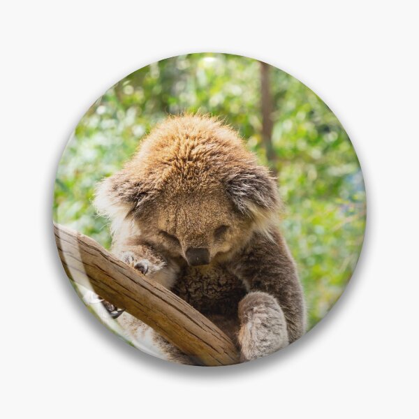 Item preview, Koala with leg hooked over gum branch. designed and sold by Anne Scantlebury.