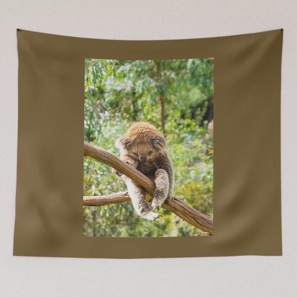 Item preview, Koala with leg hooked over gum branch. designed and sold by Anne Scantlebury.