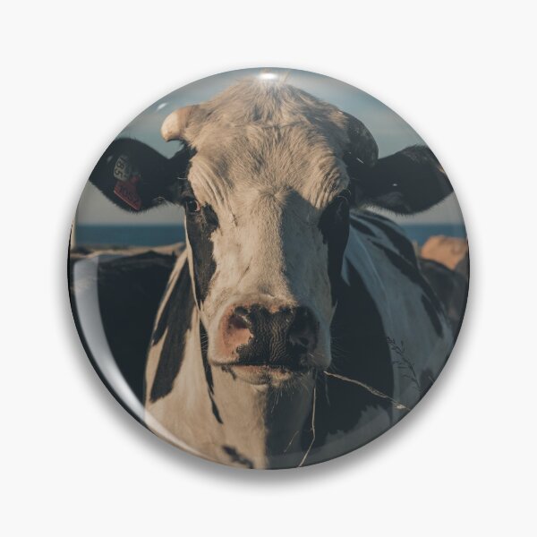 Item preview, Cow in sunset light designed and sold by Shay Murphy.