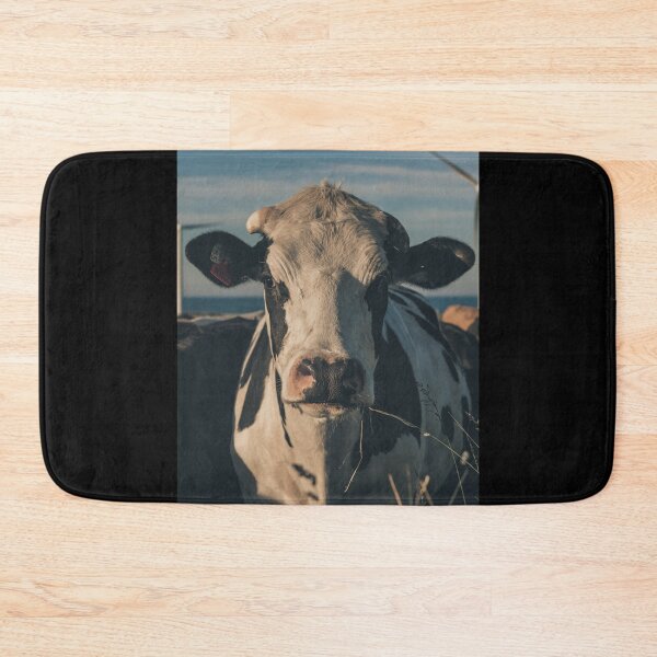 Item preview, Cow in sunset light designed and sold by Shay Murphy.