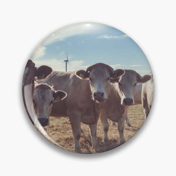 Item preview, Carnosre Point Cows designed and sold by Shay Murphy.