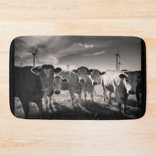 Item preview, Carnsore Point Cows designed and sold by Shay Murphy.