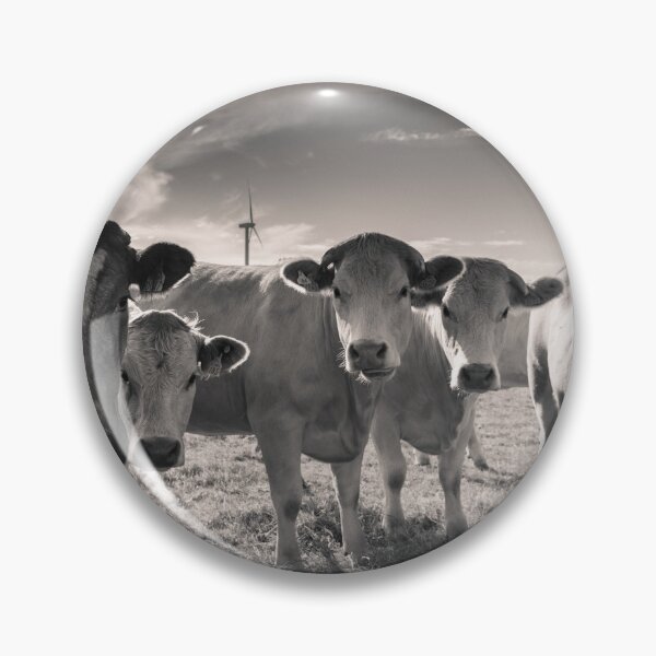 Item preview, Carnsore Point Cows designed and sold by Shay Murphy.