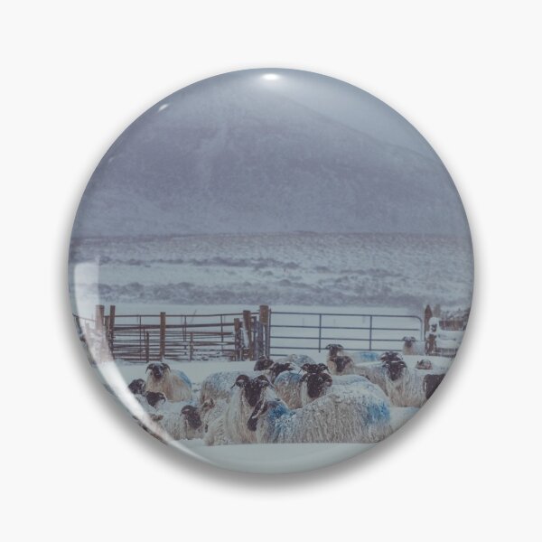Item preview, Sugar Loaf Sheep designed and sold by Shay Murphy.