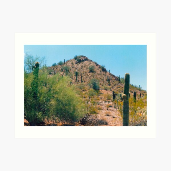 Scottsdale Arizona Art Print