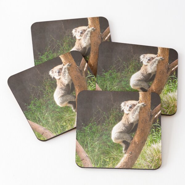 Item preview, Koala climbing gum tree trunk. designed and sold by Anne Scantlebury.