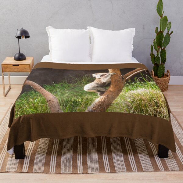 Item preview, Koala climbing gum tree trunk. designed and sold by Anne Scantlebury.